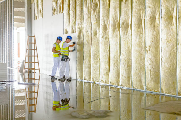 Best Blown-In Insulation  in Hockessin, DE